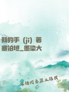 我的手機(jī)連著塞伯坦